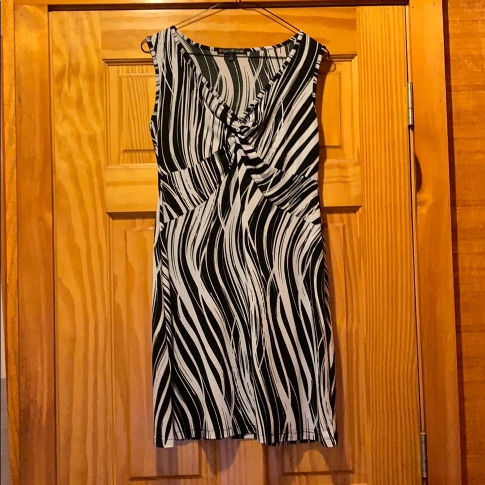 Ladies zebra print dress